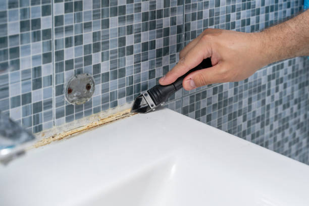 Best Office Mold Removal Services  in Brockton, MA